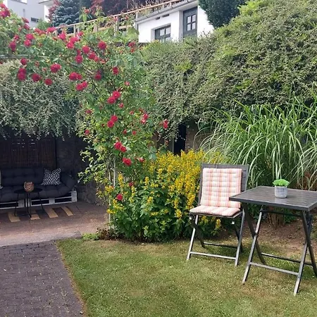 Ferienwohnung Willi Apartment